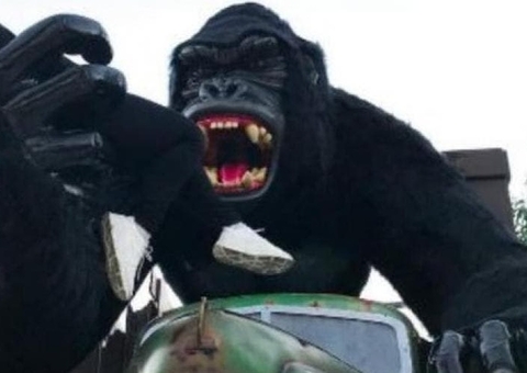 Criança cai de estátua no Beto Carrero e sofre traumatismo craniano 