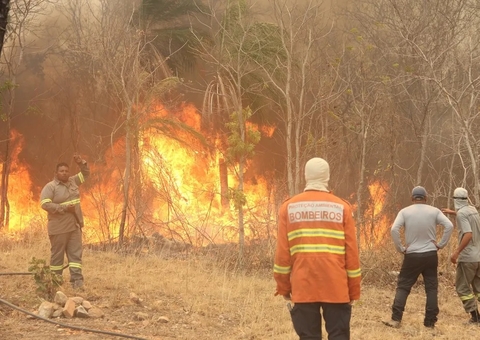 Com fogo na Bolívia ameaçando Brasil, Ibama autoriza envio de brigadistas ao país