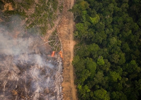 Desmatamento na Amazônia tem queda de 60% em janeiro