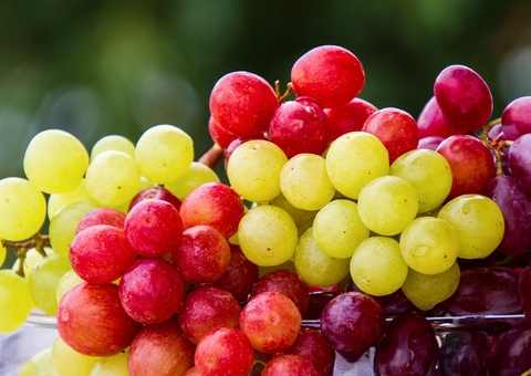 Uva e lentilha: Conheça os alimentos que atraem prosperidade no réveillon