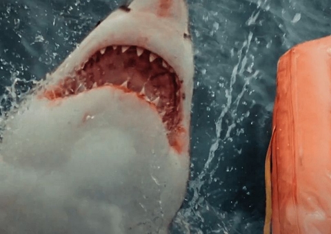 Jovens são atacados por tubarões assassinos no trailer de ‘Great White’