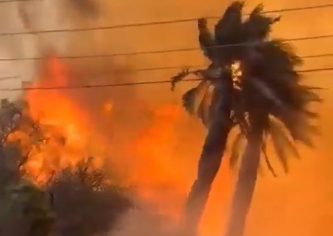 Vídeo: Incêndios Florestais no Chile se alastram e matam 112 pessoas