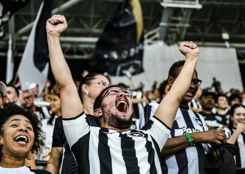 Botafogo e Palmeiras se enfrentam hoje pela 17ª rodada do Brasileirão