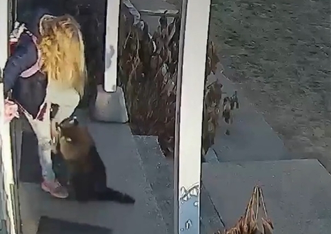 Câmera flagra desespero de menina atacada por guaxinim e atitude rápida de sua mãe; Veja