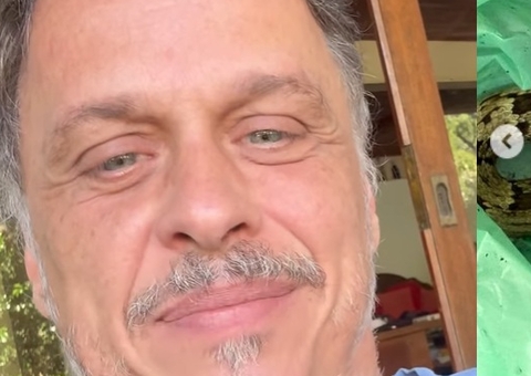 Guilherme Fontes vai parar no hospital após ser picado por jararaca 
