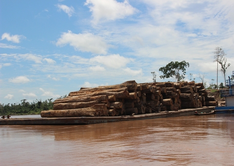 Mesmo com operação militar, Amazônia tem recorde de desmatamento 