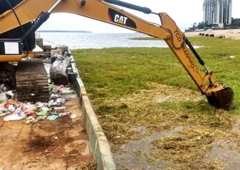 Orla de Manaus é tomada por canaranas após subida do Rio Negro
