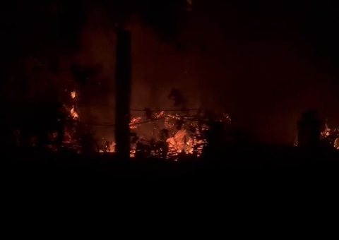 Incêndio atinge área de mata na Avenida do Turismo em Manaus
