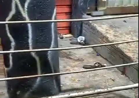 Homem é assassinado a tiros na frente da esposa no Novo Aleixo