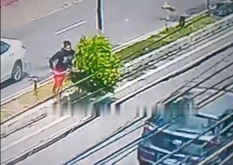 Inusitado: Homem é flagrado roubando árvore de avenida na Cachoeirinha; veja vídeo