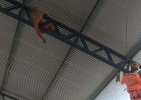 Jovem fica preso a 15 metros de altura ao tentar recuperar bola em teto de ginásio