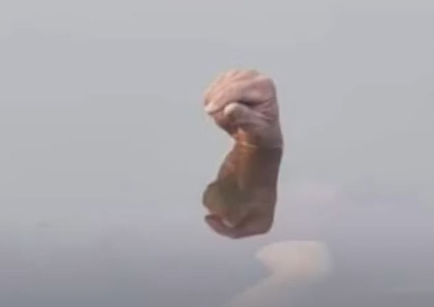 Com punho cerrado, jovem é achado boiando em rio no Amazonas após ser eletrocutado