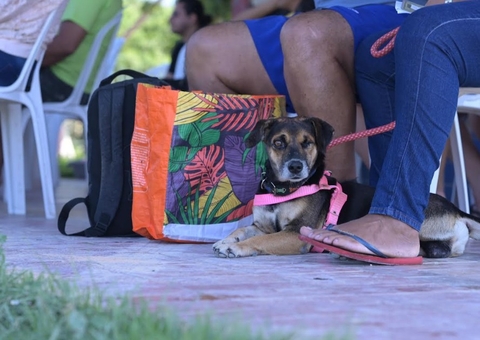 Castramóvel abre agendamento presencial na Zona Norte de Manaus