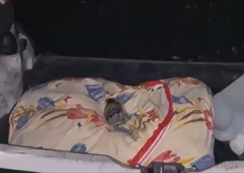 Criminosos são presos com fuzil e granada enquanto iam matar rivais no Santa Etelvina