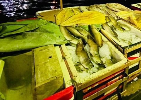 Polícia apreende 1,5 tonelada de pescado ilegal em balsa no Rio Negro 