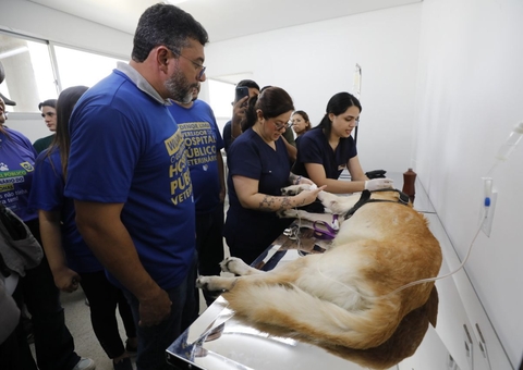 Hospital público veterinário de Manaus começa a funcionar neste sábado