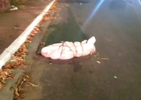 Ensacolado e amarrado, corpo de homem é achado no meio de avenida em Manaus