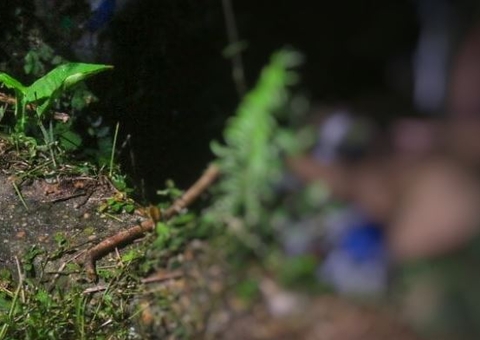 Homem é ordenado a sair de carro e crivado de balas enquanto tentava fugir da morte em Manaus