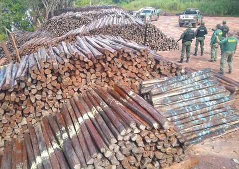 CMA aprova PL que exige autorização prévia do Ibama para retirada da Floresta Amazônica