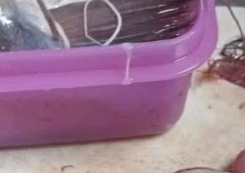 Homem se assusta ao encontrar mão misteriosa dentro de peixe