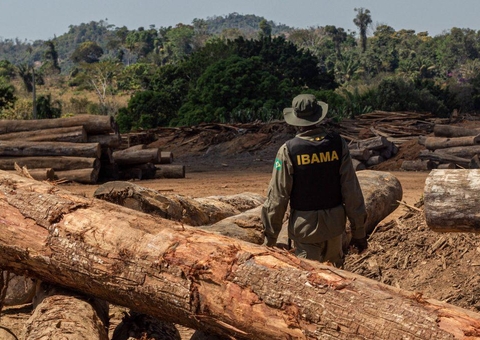 Ibama destrói madeireiras ilegais que exploravam terras indígenas no Amazonas