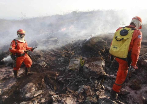 Governo autoriza contratar 1.659 profissionais para integrar brigadas