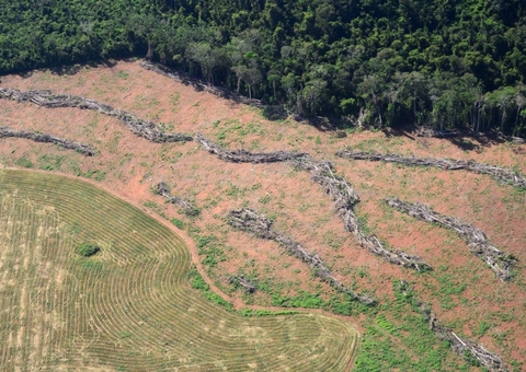 Desmatamento da Amazônia e calor podem ser fatais para saúde humana