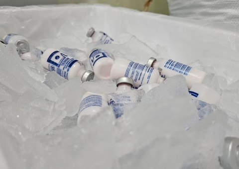 Idam envia vacinas contra febre aftosa a 6 municípios do Amazonas