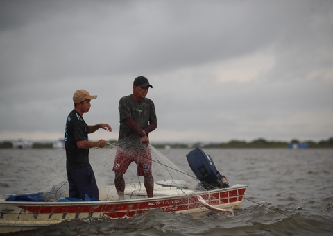 Período de defeso para oito espécies de peixes amazônicos encerra neste sábado
