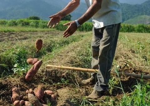 Governo Federal vai beneficiar famílias com novos lotes no Amazonas