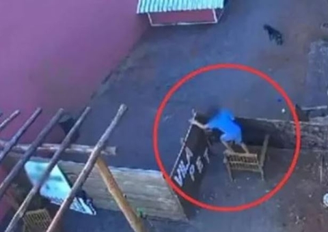 Menino que matou 23 animais diz que essa não foi a primeira vez