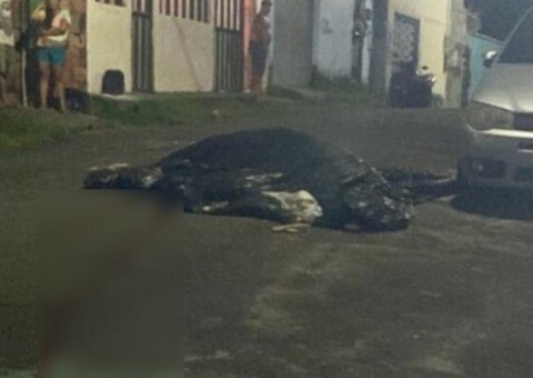 Jovem tem cabeça crivada de balas ao ser atraído para emboscada em Manaus