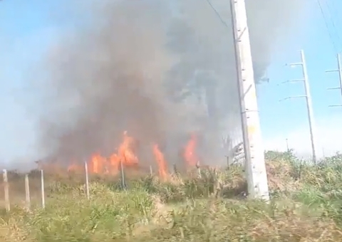 Vegetação pega fogo na Avenida das Torres e fumaça atrapalha trânsito