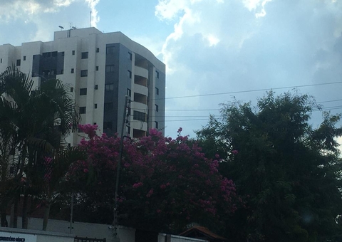 Espécies da flora amazônica estão no cio e embelezam jardins em Manaus