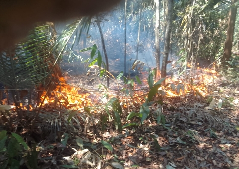 Em nove meses, Inpe detecta mais de 5,2 mil focos de queimadas no Amazonas 