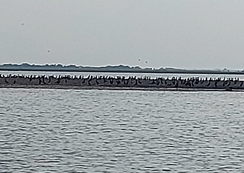  Pescadores alertam para efeito prolongado da seca e esperam seguro defeso