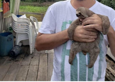 Turismo de interação com animais no Amazonas tem potencial a ser explorado