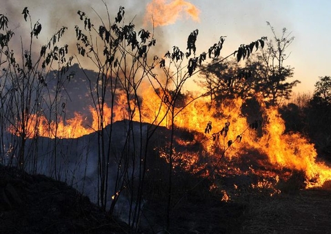 Nova lei estabelece diretrizes para uso de fogo nas áreas rurais do País
