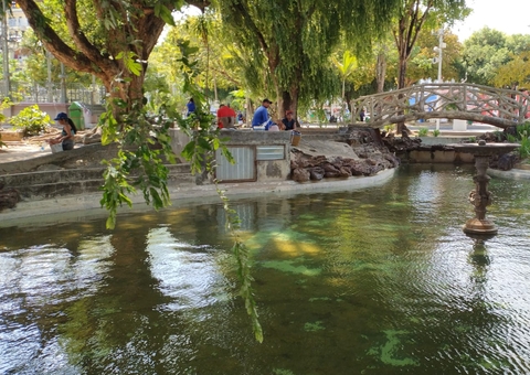 Nos 355 anos de Manaus, artista convida manauenses a olhar a cidade para conhecer e preservar