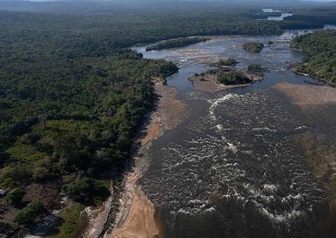 Pesquisa revela desaparecimento de peixes no Rio Uatumã, na área de Balbina e Pitinga