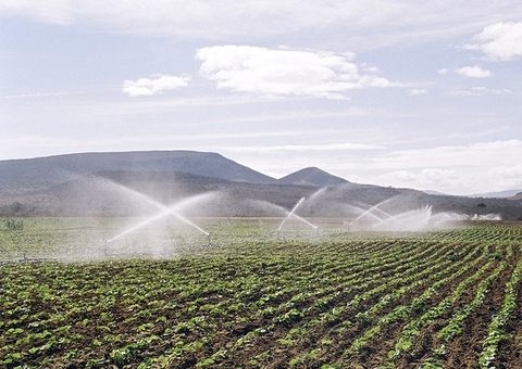 CRA discute Plano Nacional de Fertilizantes nesta semana