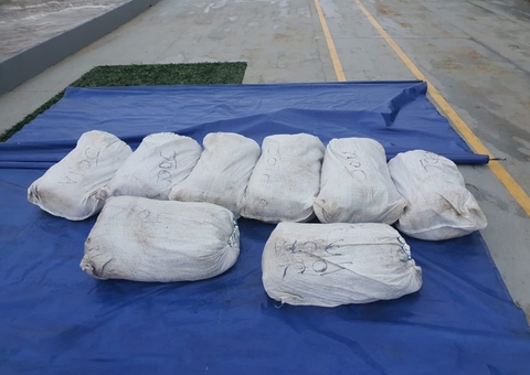 Pescado ilegal é apreendido e doado a ribeirinhos no Amazonas