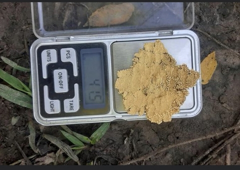 Garimpeiros que invadiram Rio Madeira mostram rotina de atividade ilegal na internet