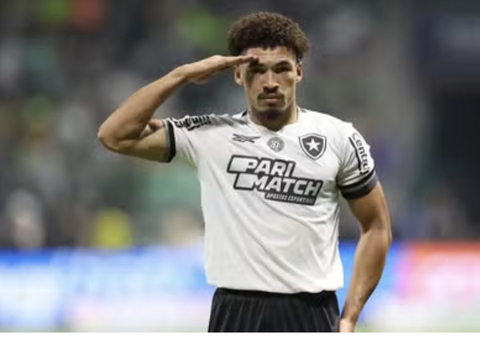 Botafogo reage e retoma do Palmeiras a liderança do Campeonato Brasileiro