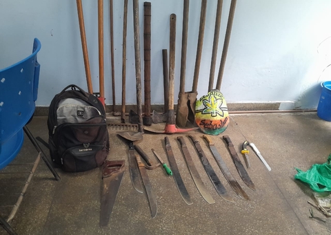 Cinco homens são presos por desmatamento e queimada ilegal em Parintins 