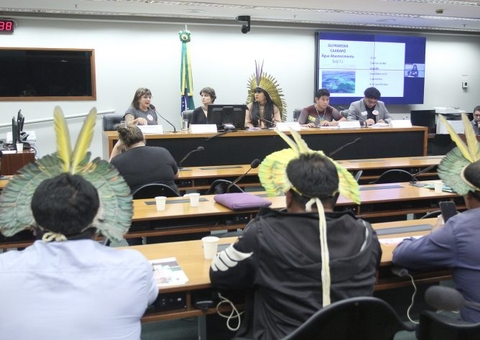  Pesquisa aponta contaminação por agrotóxicos em áreas indígenas no País 