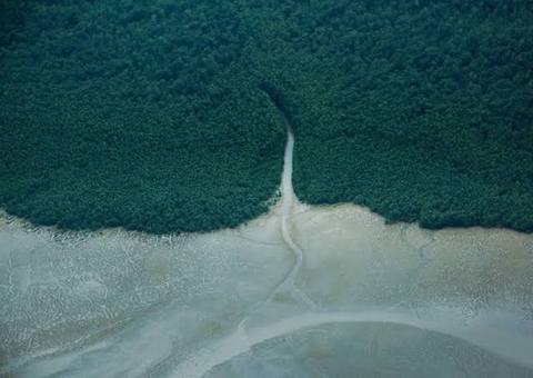 "Estamos perto de um consenso", diz Petrobras sobre licença na Foz do Amazonas