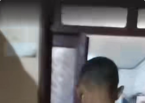 Homem é suspeito de jogar cachorro na parede em Eirunepé