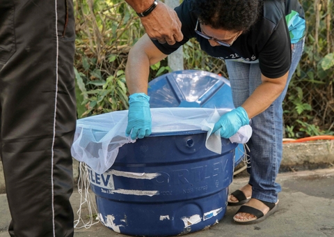 Amazonas confirma três mortes por dengue e acumula 3.281 casos de Febre Oropouche