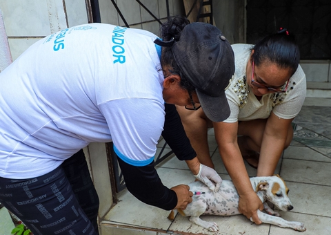 Manaus reforça vacinação antirrábica com pontos fixos e visitas domiciliares